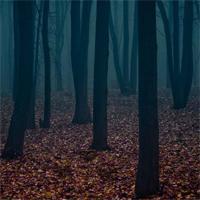 play Escape-From-Alarming-Forest