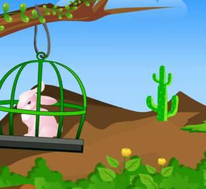 play Knfgame New Happy Rabbit Escape