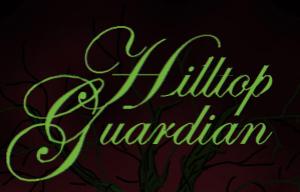 play Hilltop Guardian