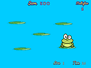 play Frog Splat!