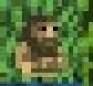 play Pilgrim'S Fortune