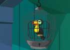 play Escapegameszone Toucan Cage Escape