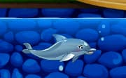 play My Dolphin Show 5