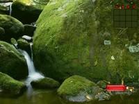 play Escape Rata Forest