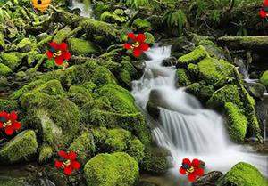 play Escape Rata Forest Game