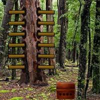 play Escape Rata Forest