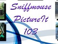 play Sniffmouse Pictureit 103