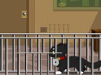 play Black Cat Rescue