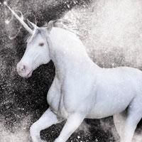 play White Unicorn-Hidden Stars