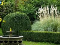 play Escape Pansy Garden
