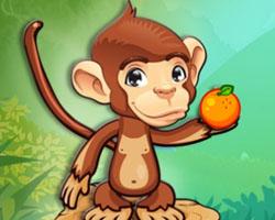 play Fruit Monkey