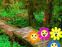 play Escape Mild Forest