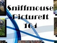 play Sniffmouse Pictureit 104