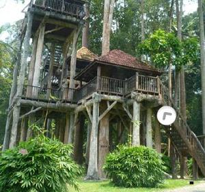 play Eight Mushroom Tree House Forest Escape