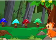play Escape Mini Forest