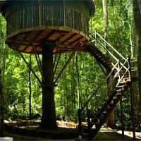 Mushroom-Tree-House-Forest-Escape