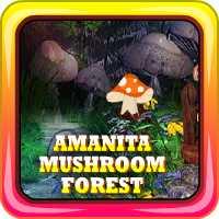 Amanita Mushroom Forest Escape