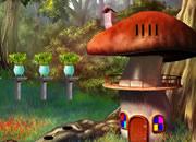 play Amanita Mushroom Forest Escape