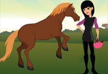 play Horse Ranches