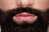 Beard Saloon 2016