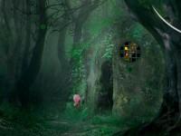 play Enigmatic Forest Escape