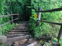 play Alsunga Forest Adventure