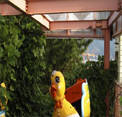 play Escape From Okpo Land