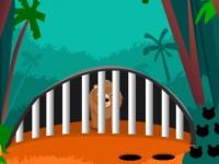 play Ajaz Bear Escape