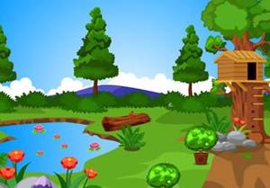 Rescue The Lovely Parrots Game