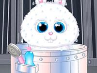 play Pet Stars - Snowball