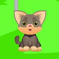 play Ajaz Escape Sweetie Cat