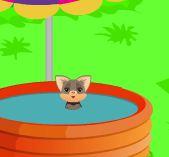 play Ajaz Escape Sweetie Cat