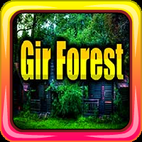 Gir Forest Escape