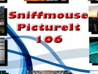 play Sniffmouse Pictureit 106