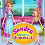 play Sandra Learns Housecraft