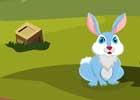 play Hunger Rabbit Escape