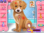 play Fashion Pet Doctor