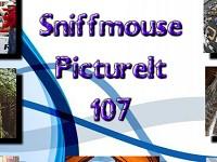 play Sniffmouse Pictureit 107