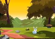 play Hunger Rabbit Escape