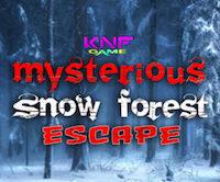 play Knf Mysterious Snow Forest Escape