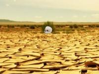 play Escape Camel From California Desert