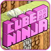 play Cube Ninja