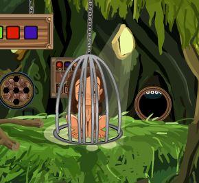 play Yolk Tarzan Forest House Escape