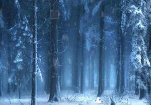 Mysterious Snow Forest Escape Game