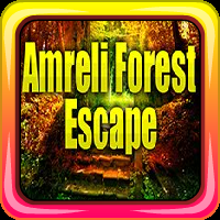 Amreli Forest Escape