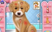 play Fashion Pet Doctor