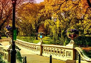 play Golden Gate Park Game
