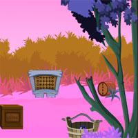 play Cat Rescue From Cage
