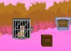play Cat Rescue From Cage