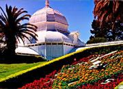 play Escape Golden Gate Park